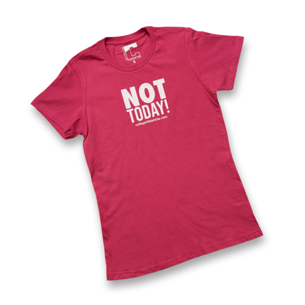 (Female) NOT TODAY! (flamingo/white print) - Image 2