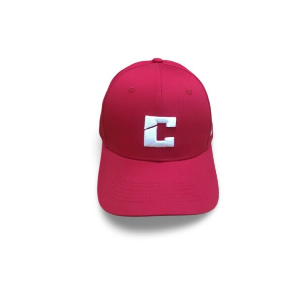 Cranberry Dad Hats - Image 3