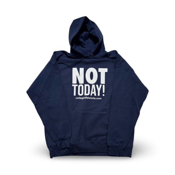 NOT TODAY! Hoodie Blueberry/Swan Print