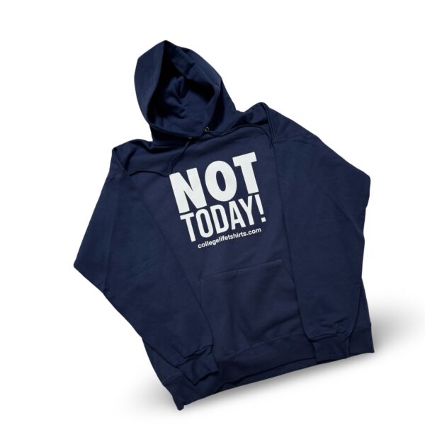 NOT TODAY! Hoodie Blueberry/Swan Print - Image 2