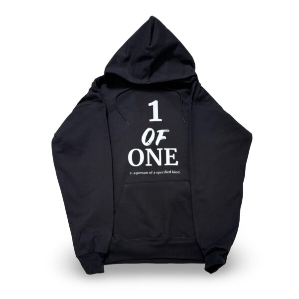 1 OF ONE HOODIE (Unisex)
Paradise Crow/Swan Print