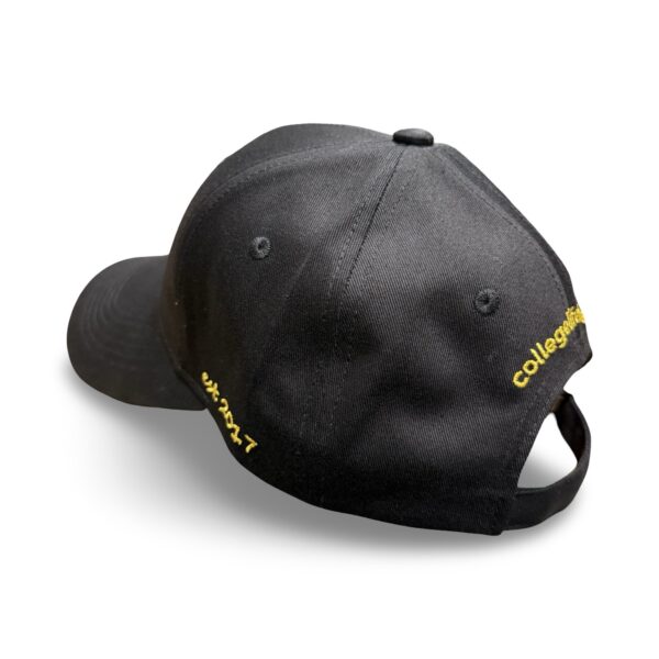 Paradise Crow/ Mustard Stitch Dad Hat - Image 3