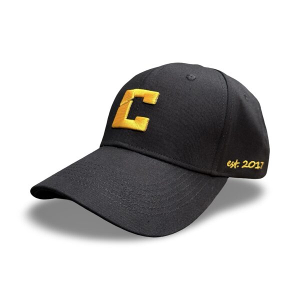 Paradise Crow/ Mustard Stitch Dad Hat - Image 2