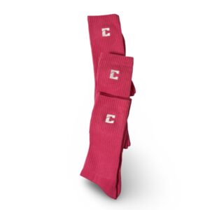 (3 PACK) FLAMINGO SOCKS/SWAN STITCH